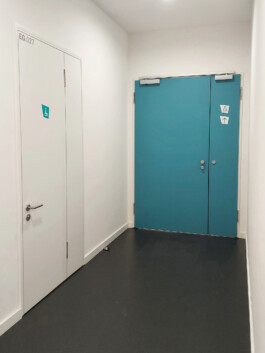 Pictograms on white and on coloured door